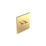 Art d'Arnould - 2 gang push-button 10 A-250V Epure toggle type - Brushed Gold