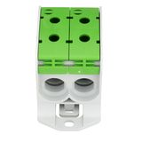 Aluminium /Copper terminal, 1-pole Double green, 95mmý