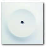 1742-774 CoverPlates (partly incl. Insert) carat® studio white matt