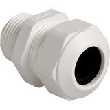 Cable gland Progress synthetic GFK Pg11 White RAL 9010 cable Ø 5.5-12mm