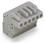 1-conductor female connector, angled CAGE CLAMP® 2.5 mm² gray