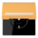 SCHUKO socket, with hinged lid, with ins LC1520BFNAKL254