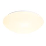 RKL 2 ceiling/wall light, E27, 60W, IP40, opal, white