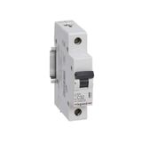 Circuit breaker RX³ 4500A 1P 32A curve C