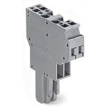 2-conductor female connector CAGE CLAMP® 4 mm² gray