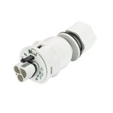 DEVICE CONNECTOR RST20I3S S1 M13V GL