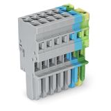 1-conductor female connector CAGE CLAMP® 4 mm² gray/blue/green-yellow