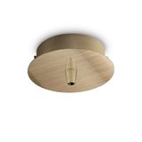 ROSONE METALLO 1 LUCE OTTONE BRUNITO