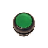 Illuminated pushbutton actuator, RMQ-Titan, Flush, maintained, green, Blank, Bezel: black