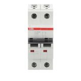 ST202M-C6 Miniature Circuit Breaker - 2P - C - 6 A