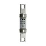 Fuse-link, low voltage, 100 A, AC 600 V, DC 250 V,  HRCII-C, 22 x 111 mm, CSA