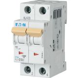 Miniature circuit breaker (MCB), 13 A, 2p, characteristic: D