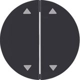 Rocker 2gang imprinted arrows symbol, R.1/R.3, black glossy