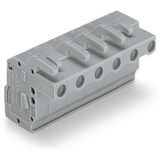 1-conductor female connector, angled CAGE CLAMP® 2.5 mm² gray