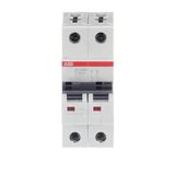 ST202M-C50 Miniature Circuit Breaker - 2P - C - 50 A