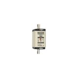 Fuse-link NH00 gG 690VAC 100A isolated tags Double indicator