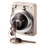 Key-operated actuator, Flat Front, maintained, 2 positions, Ronis 455, Key withdrawable: 0, I, Bezel: stainless steel