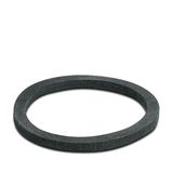 WP-FS IP68 PG36 - Flat gasket