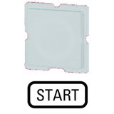 Button plate, white, START