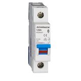 Main Load-Break Switch (Isolator) 125A, 1-pole