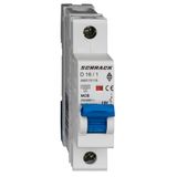 Miniature Circuit Breaker (MCB) AMPARO 10kA, D 16A, 1-pole