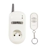 Remote control socket with remote control (RWG-01+P-257/2) type: RWG-01K