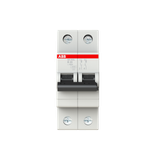 SH202L-B20 Miniature Circuit Breaker - 2P - B - 20 A