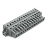 1-conductor female connector CAGE CLAMP® 2.5 mm² gray