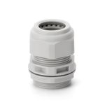 CABLE GLAND PG 21 LIGHT VERSION
