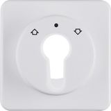 Cen. plate f.key push-b. f.blinds/key switch,splash-prot. flushmtd IP4