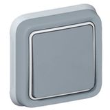 Switch Plexo IP 55 - 2-way - 10 AX - 250 V~ - flush mounting - grey