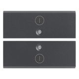 Two half-buttons 2M I/O symbols grey