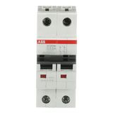 ST202M-C0.5 Miniature Circuit Breaker - 2P - C - 0.5 A