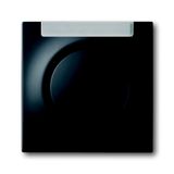 1781-775 CoverPlates (partly incl. Insert) carat® black matt