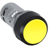 CP2-10Y-11 Pushbutton