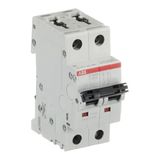 ST202M-C40 Miniature Circuit Breaker - 2P - C - 40 A