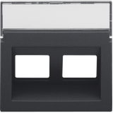 Central plate data 2x RJ oblique output, anthracite coated