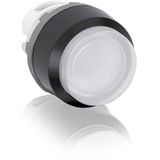 MP3-10C Pushbutton