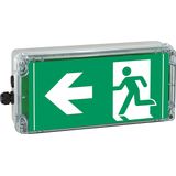 Ex-escape sign luminaires EXIT V-CG-S for emergency light function for zone 1/21, Pictogram: DIN ISO 7010, Arrow: 9 Clock