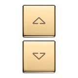 2 buttons Flat arrows symbol gold