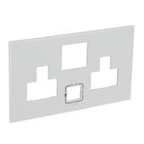 Arteor™ - Special plate for multistandard 2x2P+E switched 2 gang socket outlet with USB charger - Soft Alu