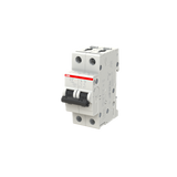S202-B4 Miniature Circuit Breaker - 2P - B - 4 A