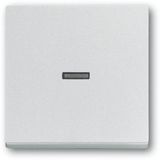 1789 N-83 CoverPlates (partly incl. Insert) future®, Busch-axcent® Aluminium silver