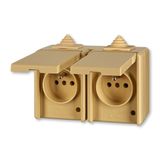 5518-2069 D Double socket outlet with earthing pins, with hinged lids, IP 44, for multiple mounting