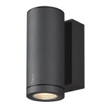 ENOLA S RD 6W 3000/4000K 230V LED IP65 anthracite