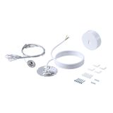 Accessory, White