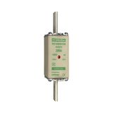 Fuse-link NH1 aM 500VAC 200A live tags Double indicator