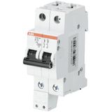 S202MT-K10H01 Miniature Circuit Breaker - 2P - K - 10 A