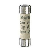Domestic cartridge fuse - cylindrical type gG 8 x 32 - 1 A - w/o indicator