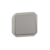 Plexo 10A waterproof single push button to be fitted with a gray finish housing or support plate